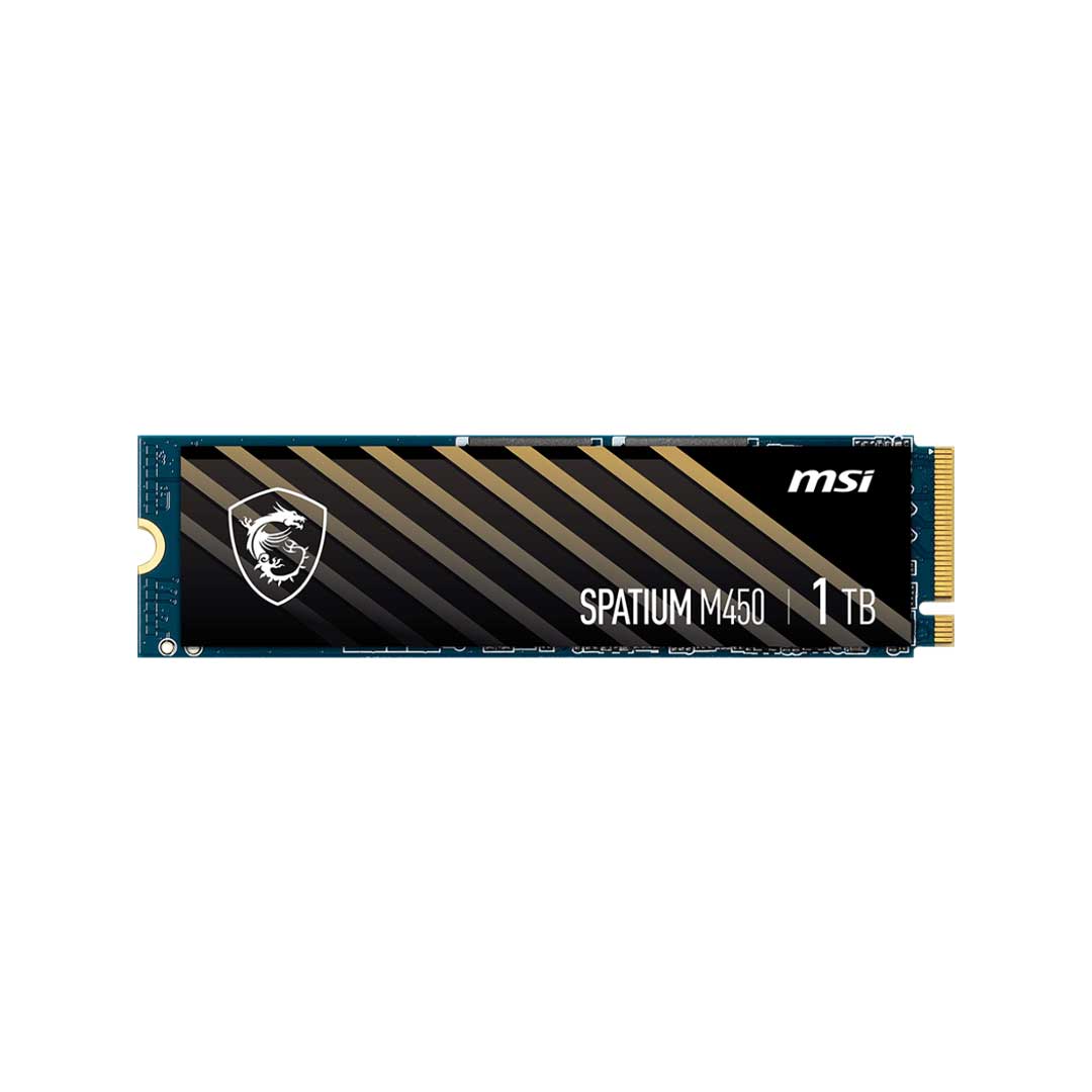 حافظه SSD M.2 اینترنال ام اس آی MSI Spatium M450 1TB