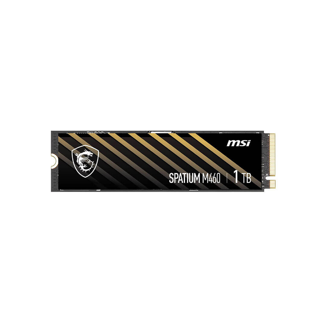 حافظه SSD M.2 اینترنال ام اس آی Spatium M460 1TB